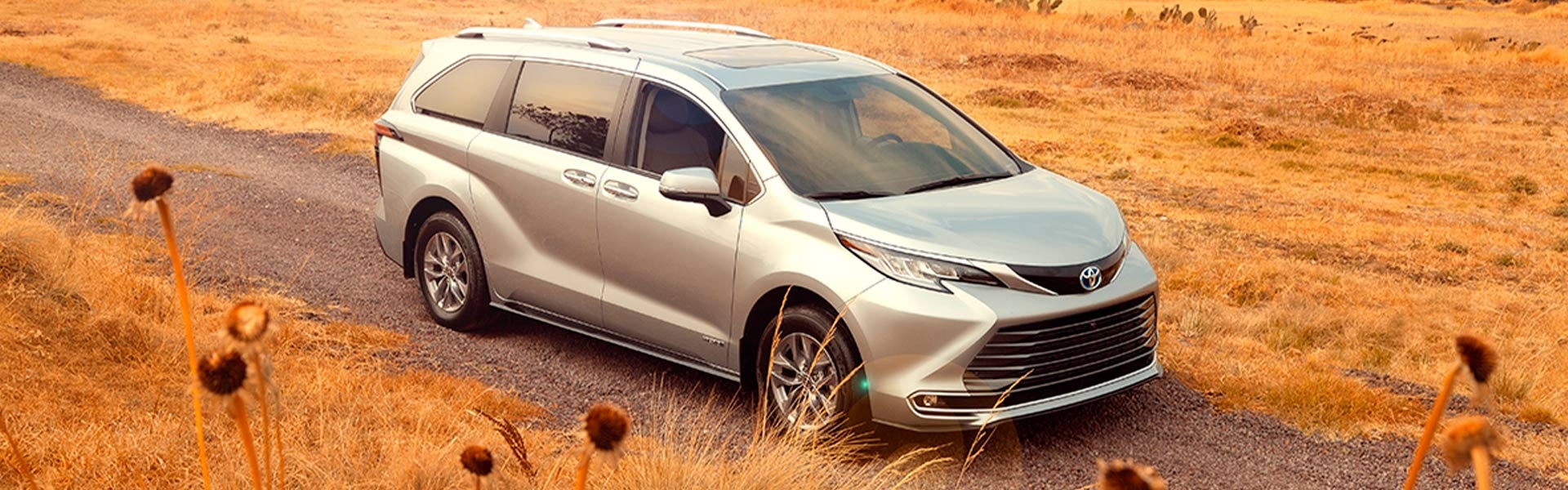 Toyota Irapuato in Irapuato Guanajuato